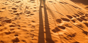 Le désert du Namib